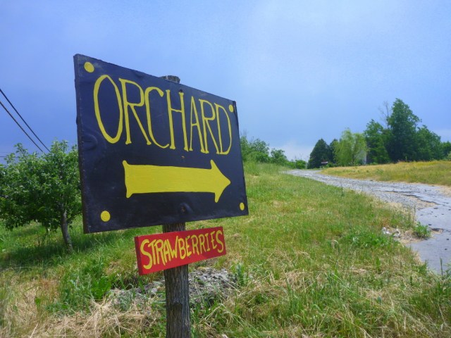 Follow the signs to the berry patch.