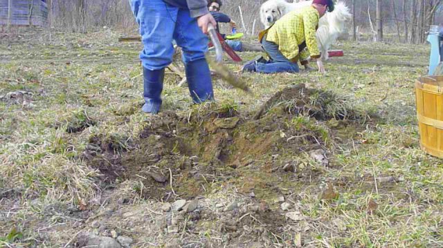 03-Screen shot 2013-01-02 at 6.06.23 PM