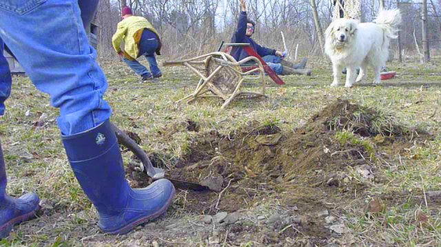 04-Screen shot 2013-01-02 at 6.06.48 PM