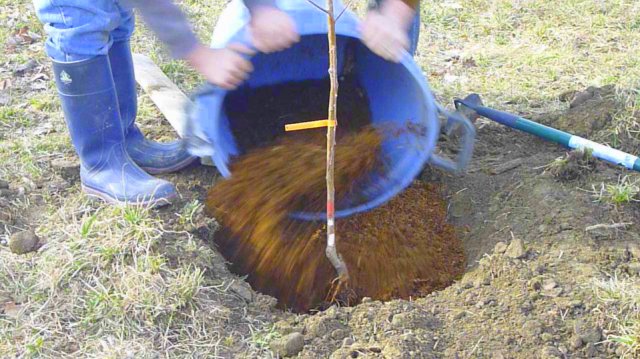 10-Screen shot 2013-01-02 at 6.23.27 PM