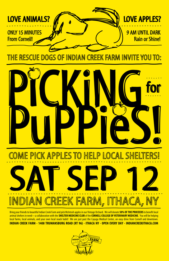 Picking-for-Puppies---yellow