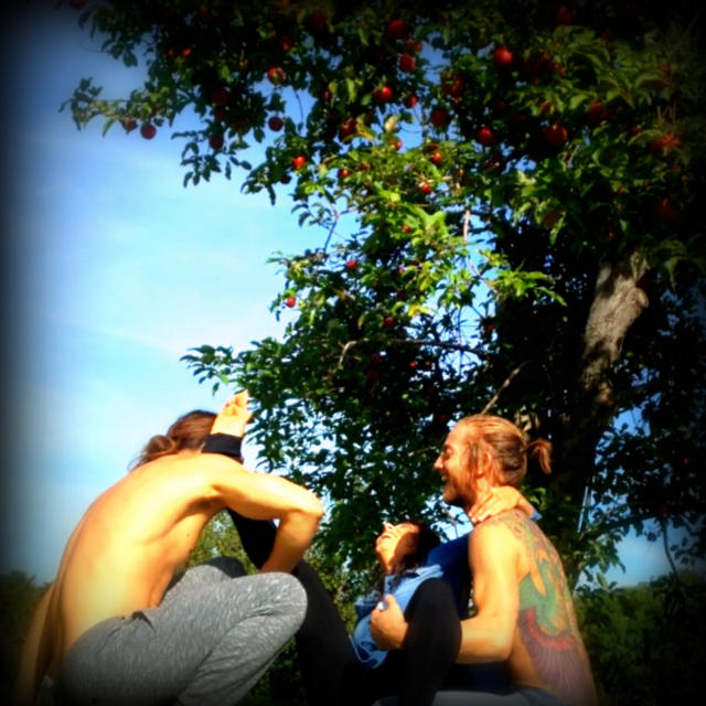 Screen Shot 2015-10-07 at 11.48.32 AM