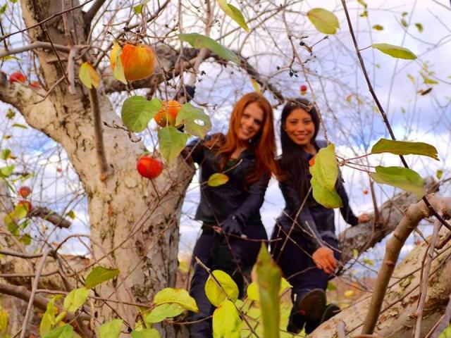 12239664_1200363649979272_3407622852987550745_n