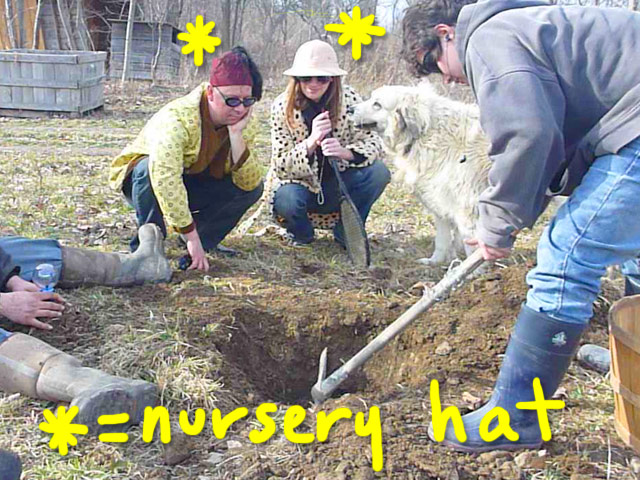 Screen-Shot-2016-04-19-at-9.53.52-AM