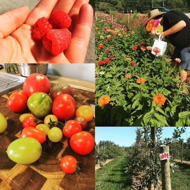 09-14072856_870969543009170_854655018_n