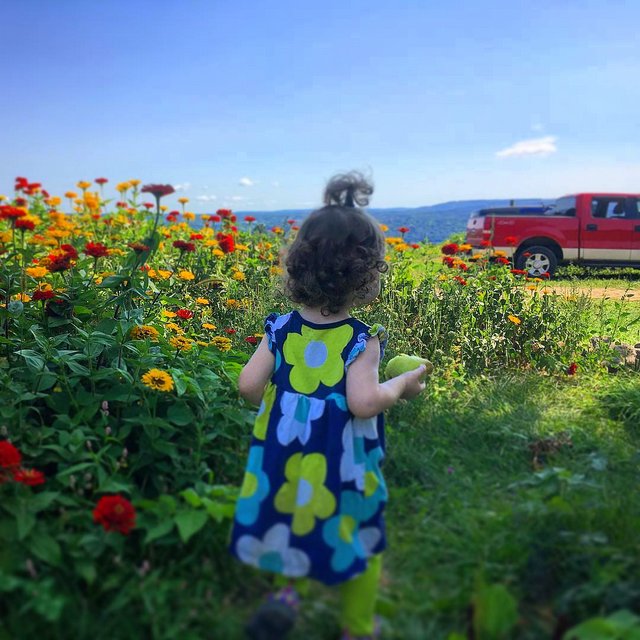 10-14262840_1657418227905797_1259270208_n