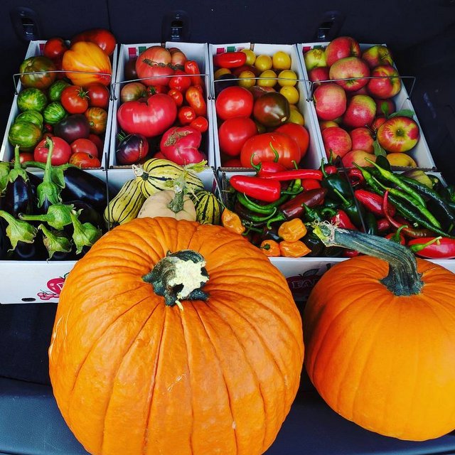 06-14474299_530184397183341_2883771819993595904_n