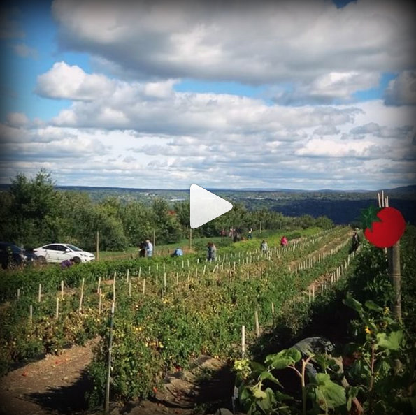 09-screen-shot-2016-10-13-at-9-13-46-am