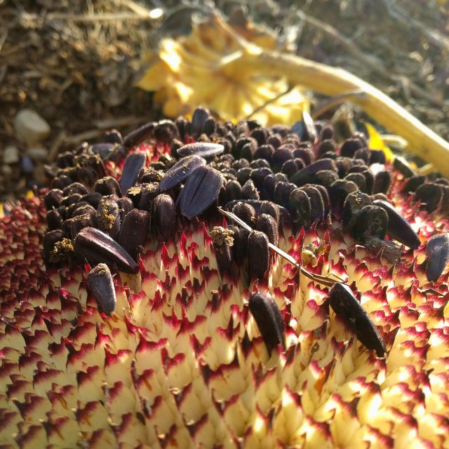 08-img_20161025_162750